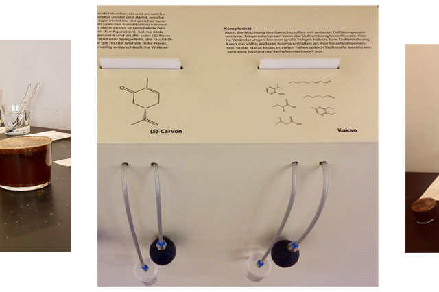 Hannah Zufall Journal 