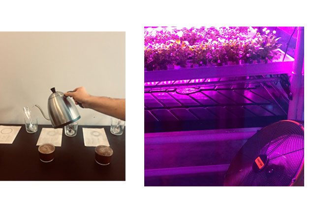 Hannah Zufall Journal