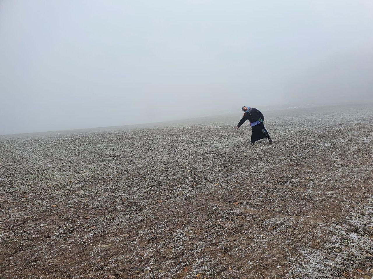 Gestalt auf einem nebelverhangenen Feld