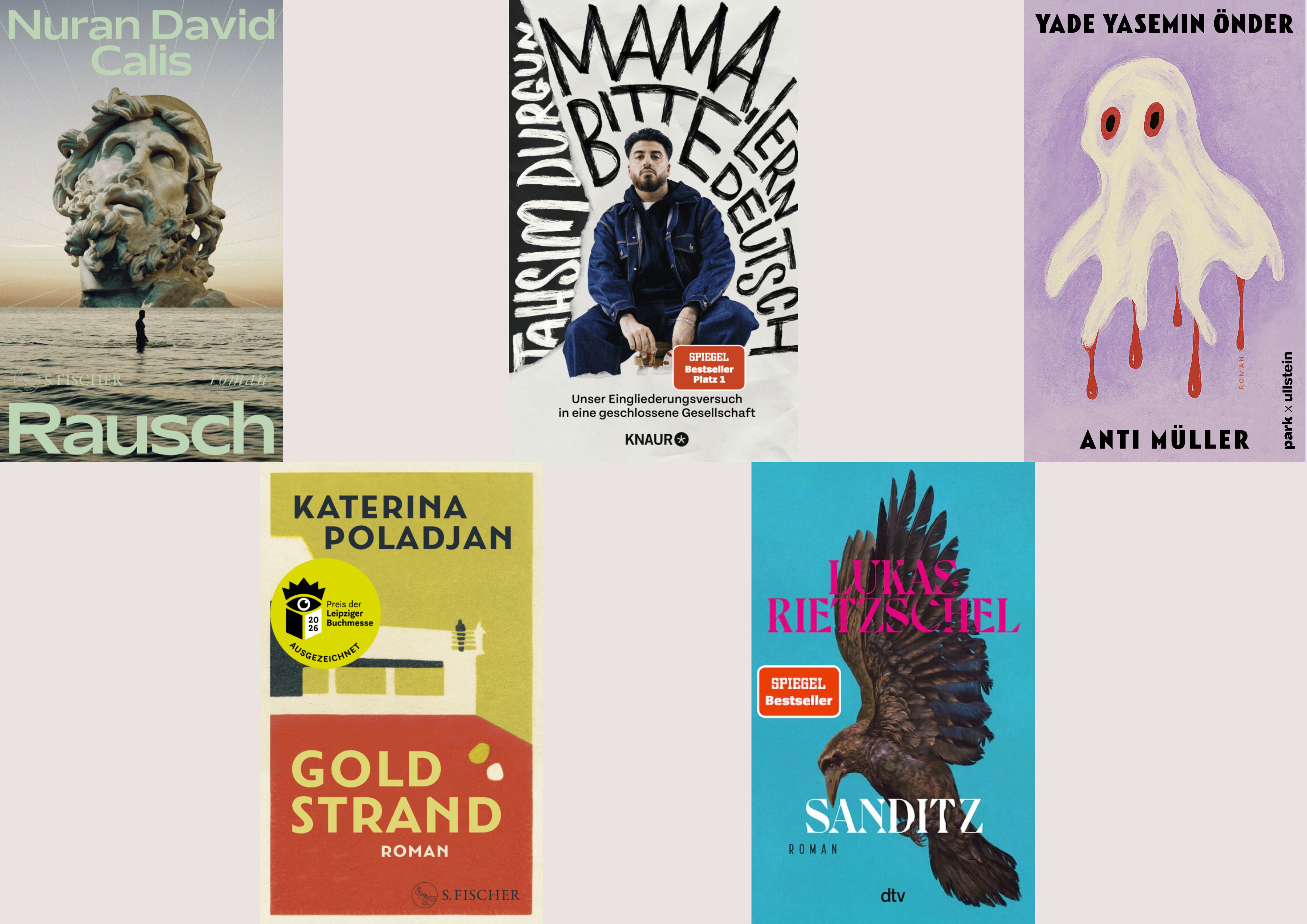 Collage aus fünf Buchcovern: „Rausch“ (Antikenkopf), „Mama bitte lern Deutsch“ (Porträt), „Anti Müller“ (Geist), „Goldstrand“ (illustriert) und „Sanditz“ (Rabe). Verschiedene Verlage, Genres und Designs.
